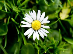 Kom kijken Tastelikesugar