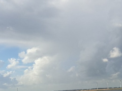 Come check TheDutchGirl