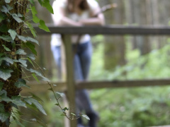 Come check Lievestout