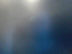 Come check Olgavianden