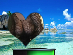 Kom kijken Snowflower