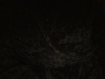 michellx0x