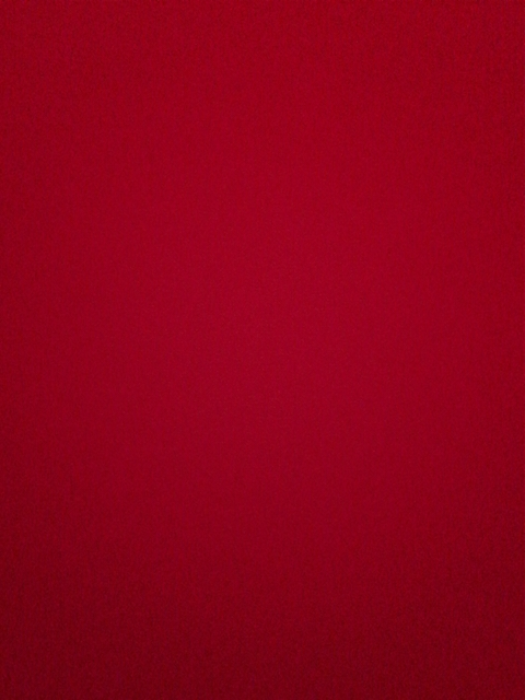 zwanger20